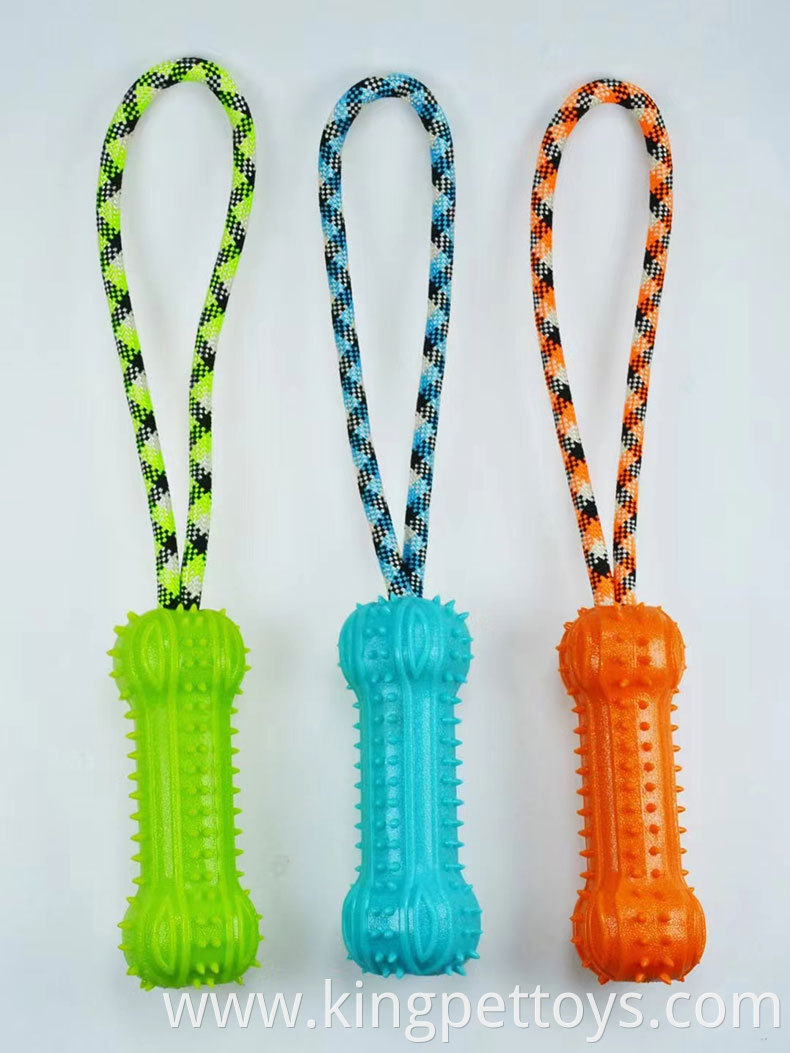 TPR Pet Bone Rope Toy
